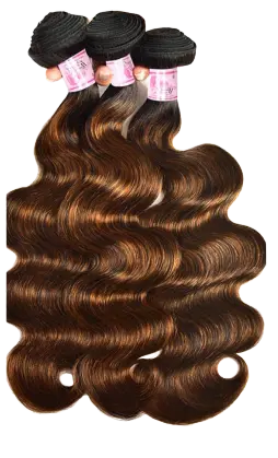 Highlight Colored Body Wave Human Hair Bundles Bianca Mila